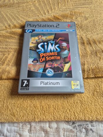 Jeu les sims permis de sortir