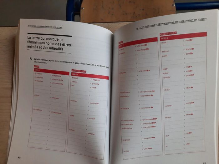 Je mémorise et je sais écrire des mots au CM2 - Picot - photo numéro 8