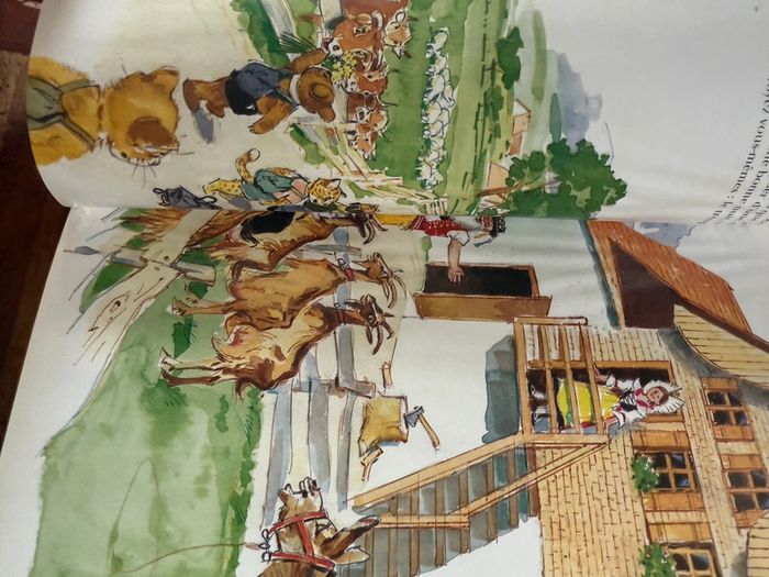 Moyen 2 - Livre édition limitée reliure rouge Caroline dans les Alpages Pierre Probst bd - photo numéro 8