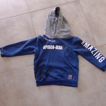 Sweat à capuche Spiderman