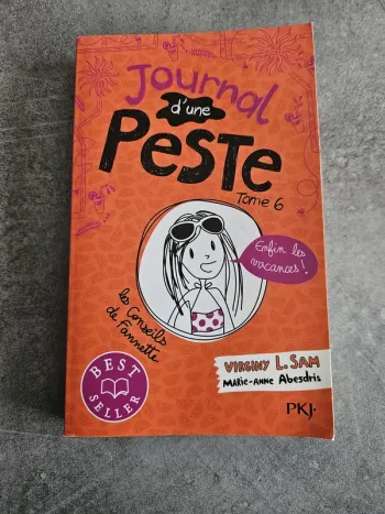 Livre roman jeunesse "Journal d'une peste T.6 - Enfin les vacances " - poche