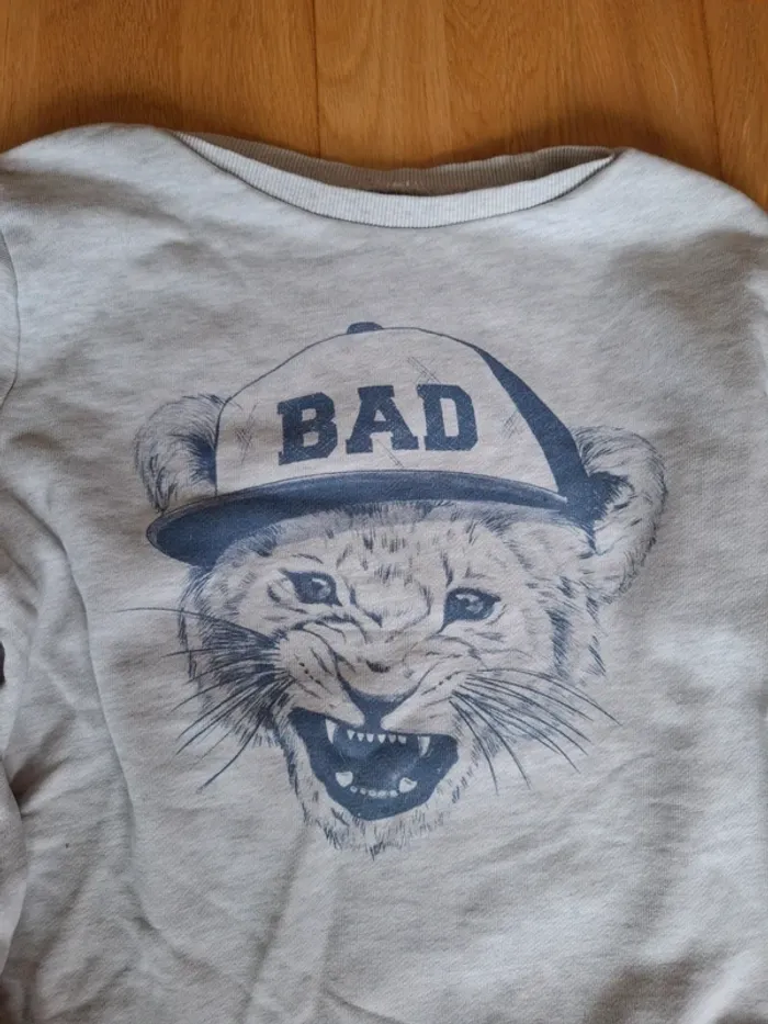 Sweat kiabi 10ans - photo numéro 2