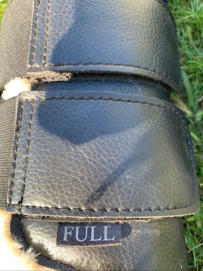 Guêtres de dressage Showmaster - photo numéro 5