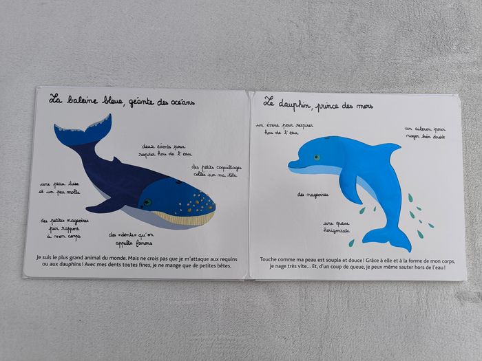 Livre Mes animaux des mers à toucher Milan - photo numéro 5