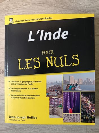 L'Inde pour les Nuls Jean-Joseph Boillot