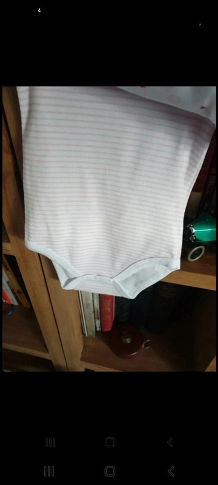 Lot 4 bodys + 1 dors bien en coton bio 6 mois - photo numéro 6