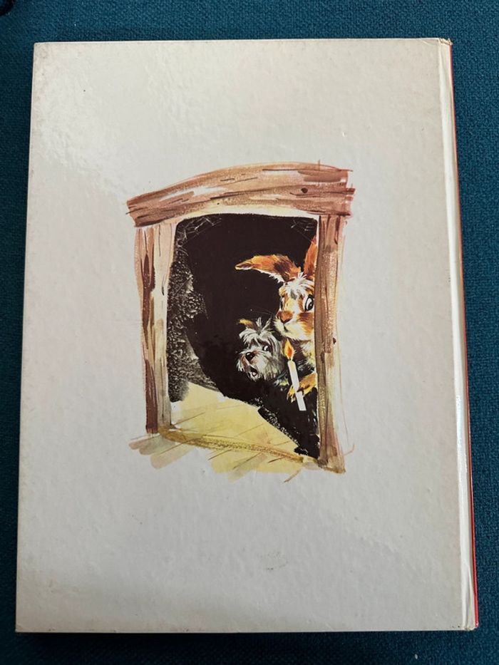 Livre bd album vintage Tim et Poum dans la forêt nature enquête hibou Pierre Probst - photo numéro 2