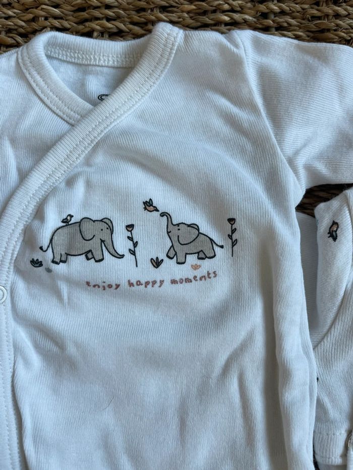 2 bodies préma éléphants twins - photo numéro 2