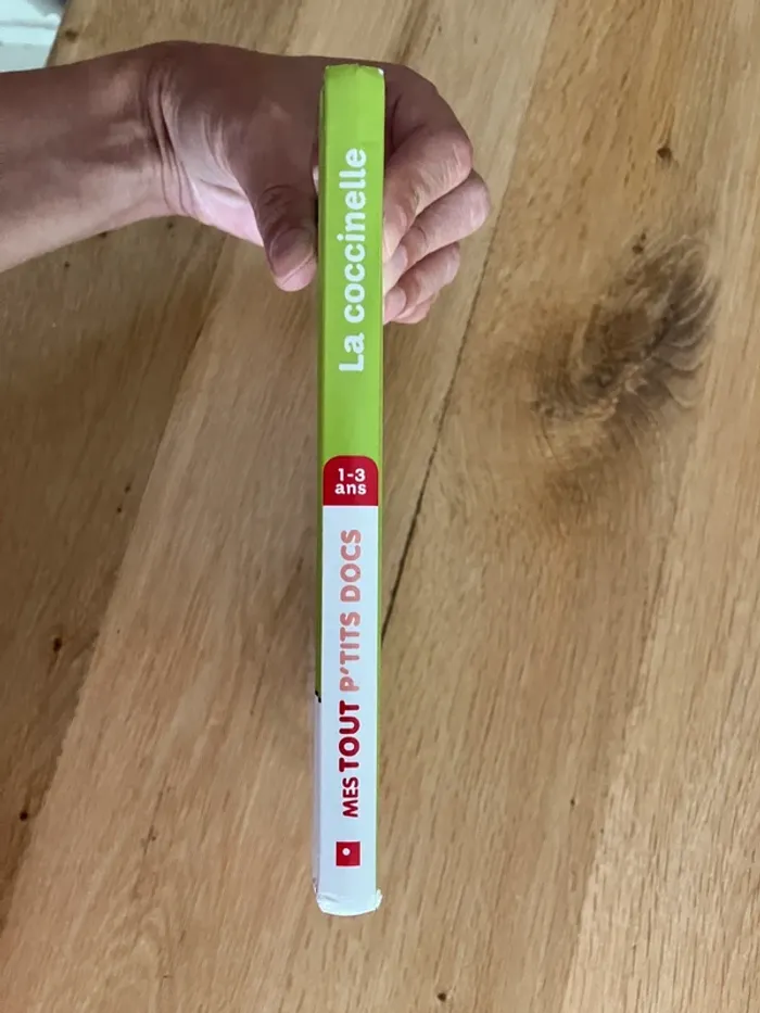 Livre coccinelle - photo numéro 4