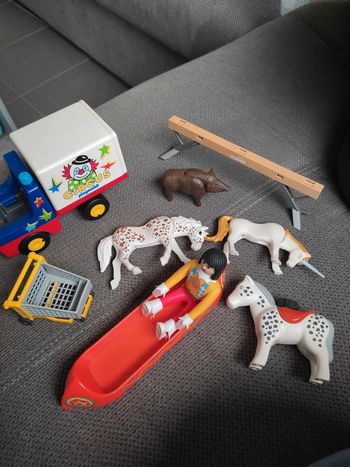 Lot divers playmobil