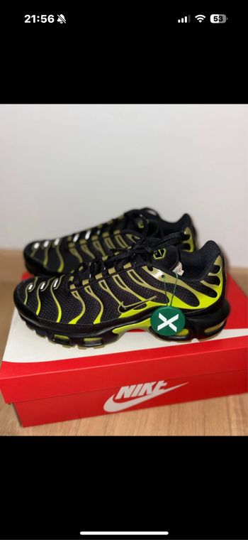 TN cyber Pacific Moss