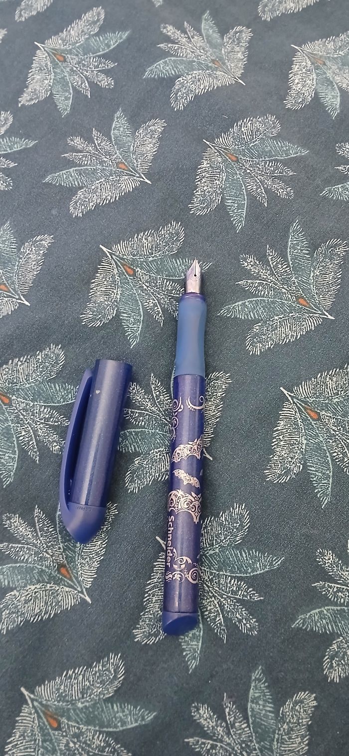 Stylo plume