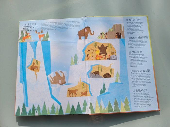 Superbe livre pop-up Dessus/Dessous Dinosaures et animaux préhistoriques (69) - photo numéro 12