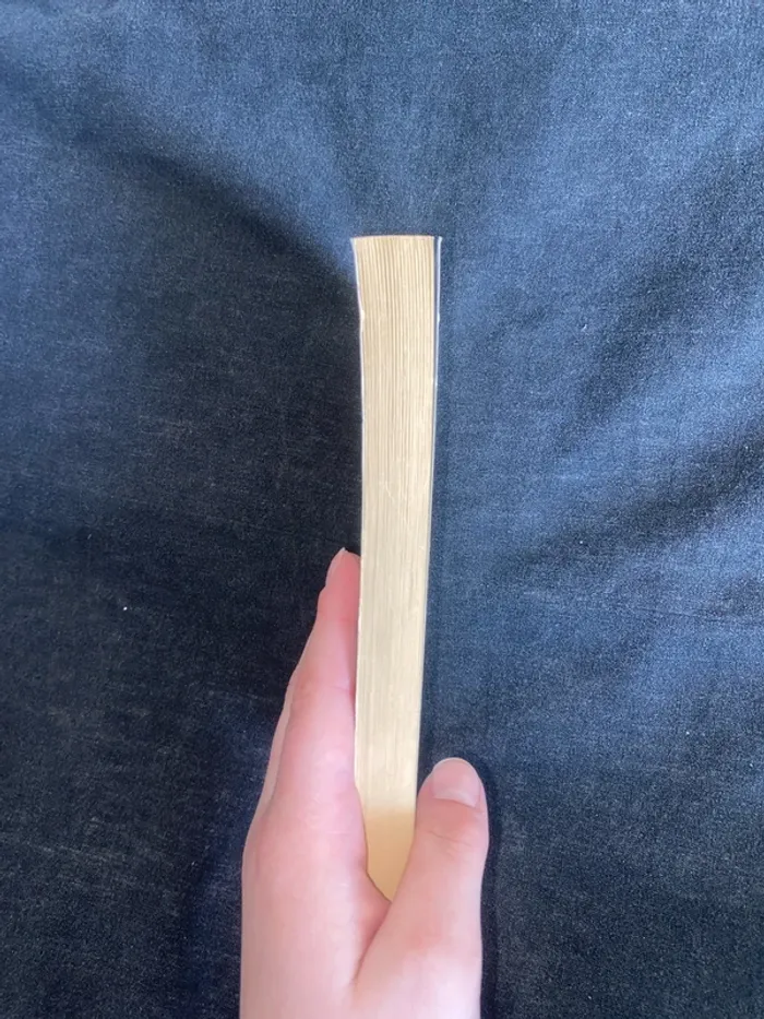 Livre - photo numéro 3