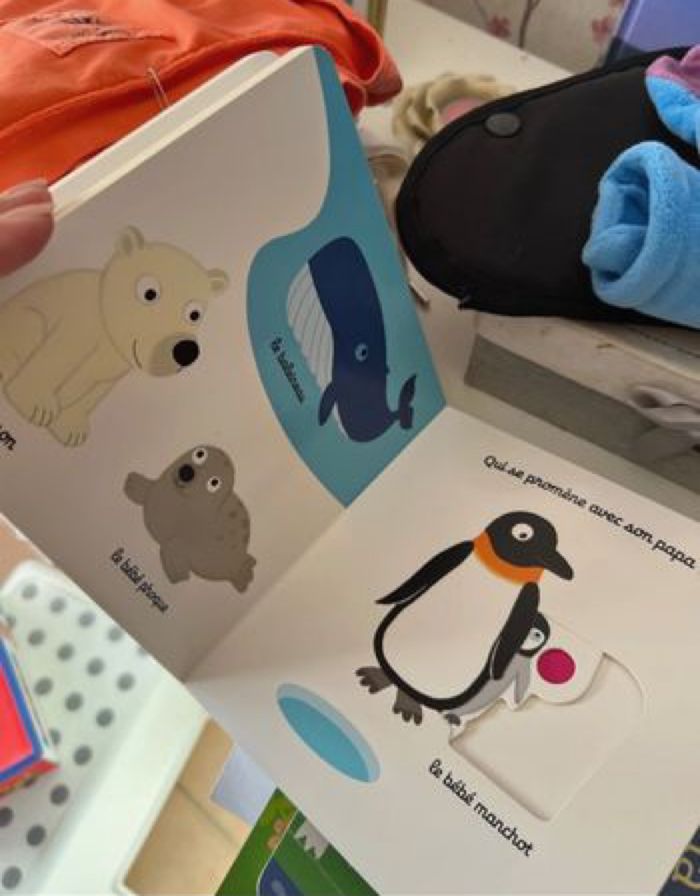 Livre bébé - photo numéro 3