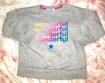 Sweat couleur gris écrit wonderful divers couleur bon état taille 4/5 ans marque primark