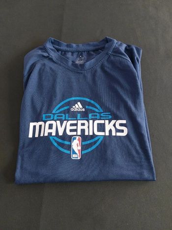 Mavericks de Dallas