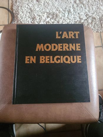 L'art moderne en belgique
