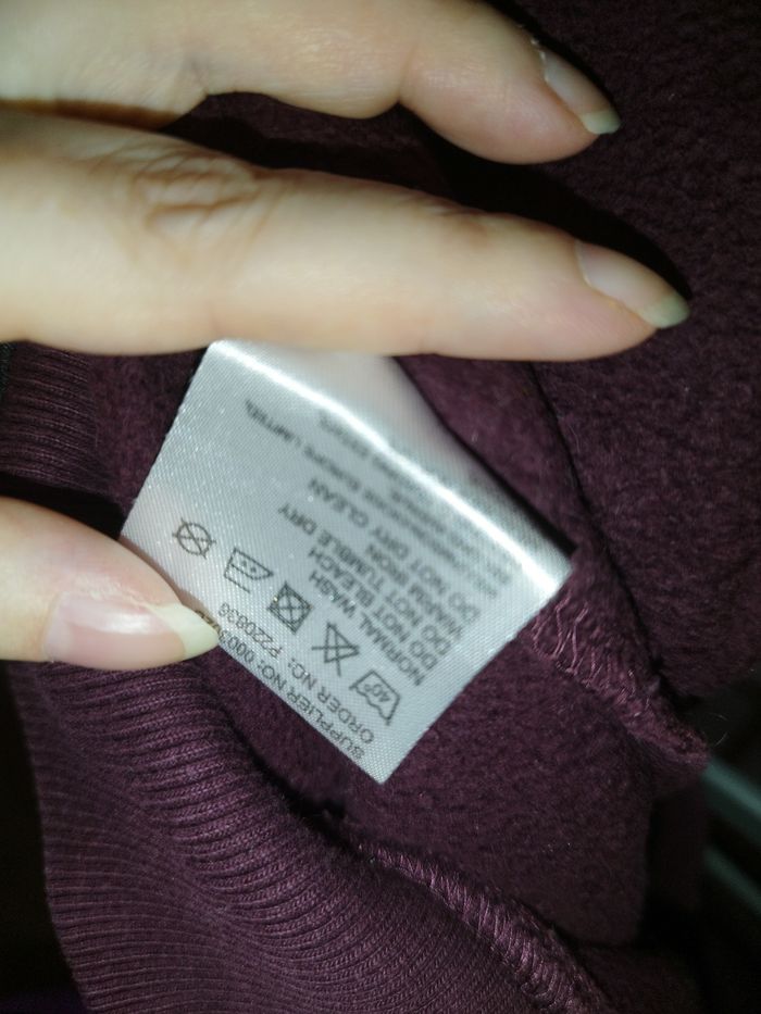 Sweat Dickies - photo numéro 5