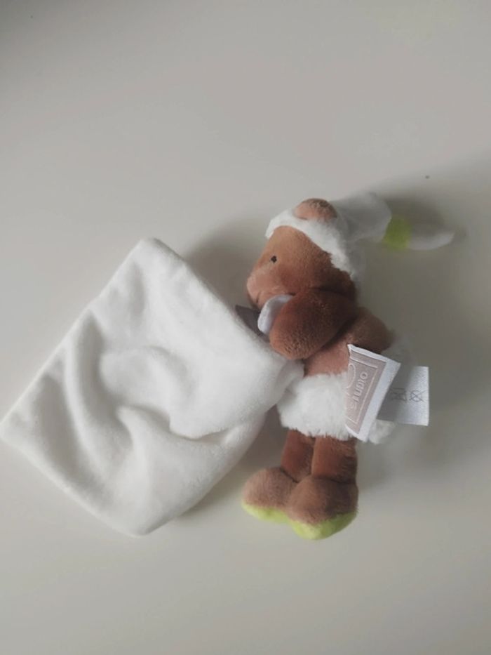 Marmotte Histoire d'ours - photo numéro 4