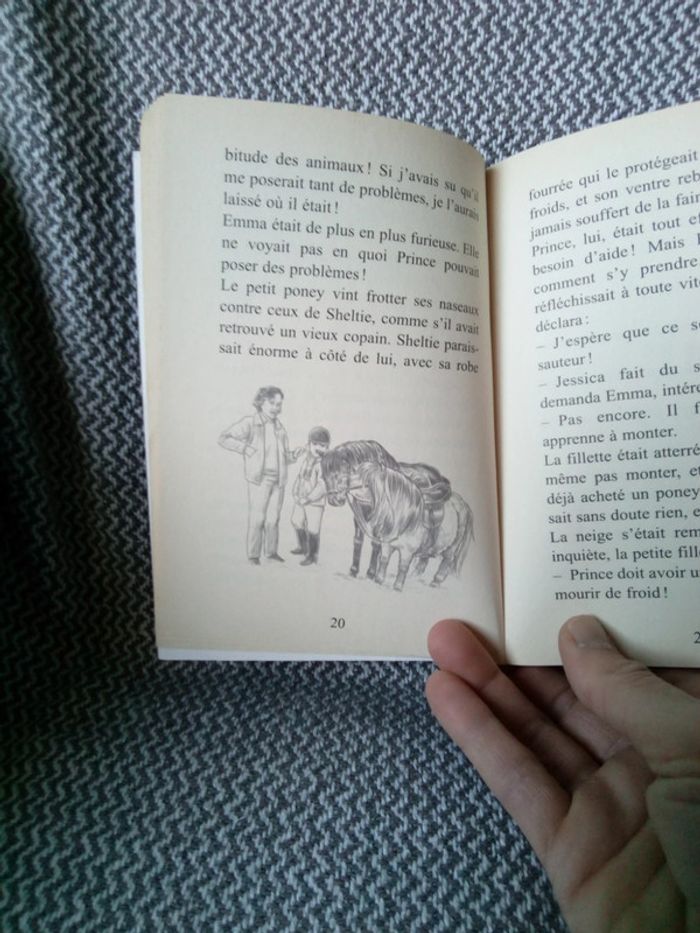 Sheltie et le poney abandonné T.413 - Bayard Jeunesse - photo numéro 5