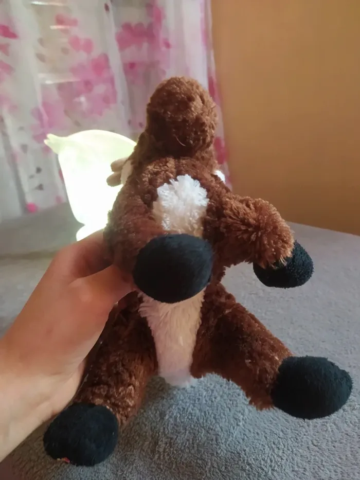 Peluche - photo numéro 4