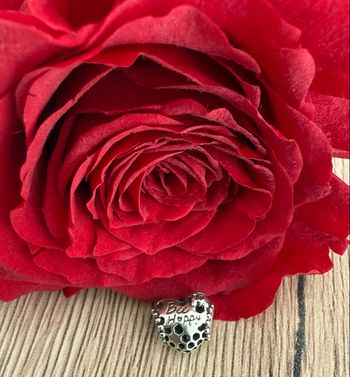 Charm pandora en forme de cœur bee happy