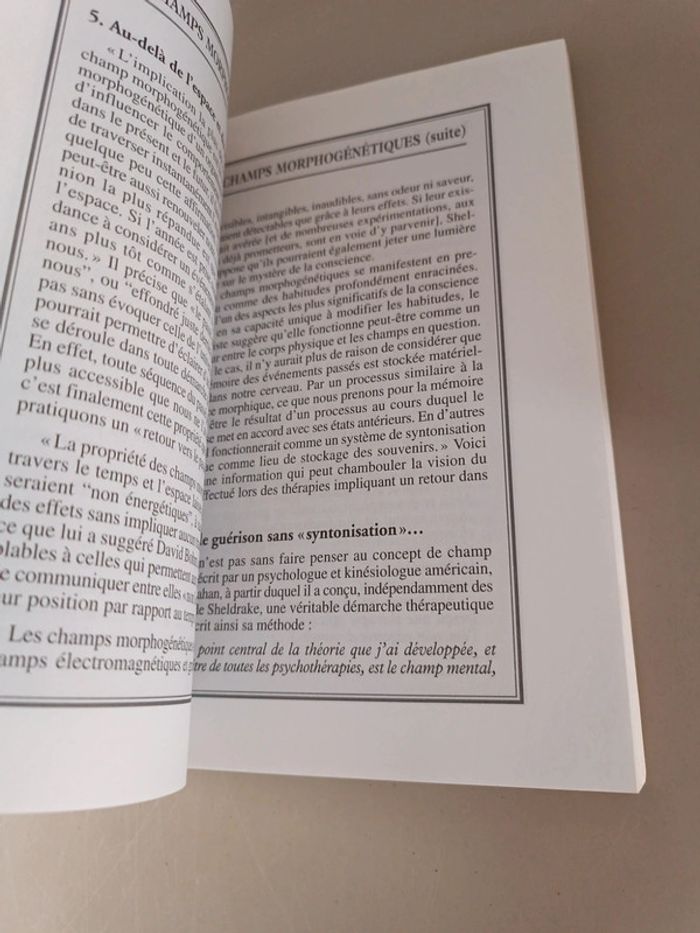 Guérir du passé Thierry Bernardin édition d'angle collection psychosoma deuxième édition - photo numéro 15
