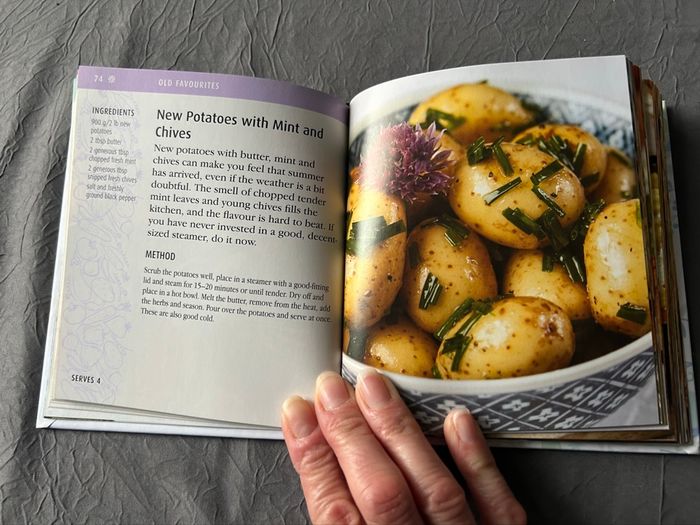 Petit livre de recettes de pommes de terre en anglais - photo numéro 4