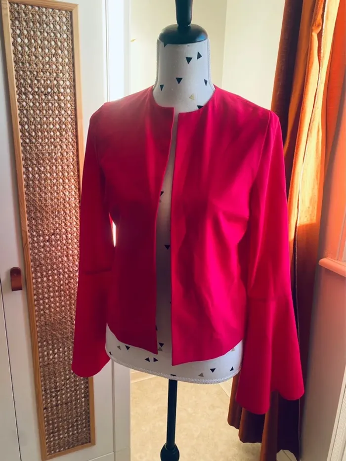 Veste rose manches évasées