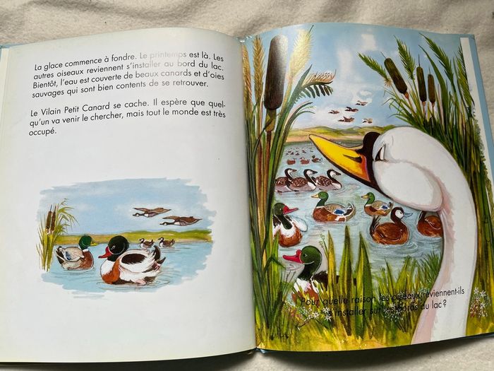 Le vilain petit canard - photo numéro 2