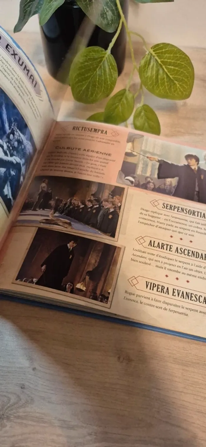 Livre harry potter - photo numéro 5