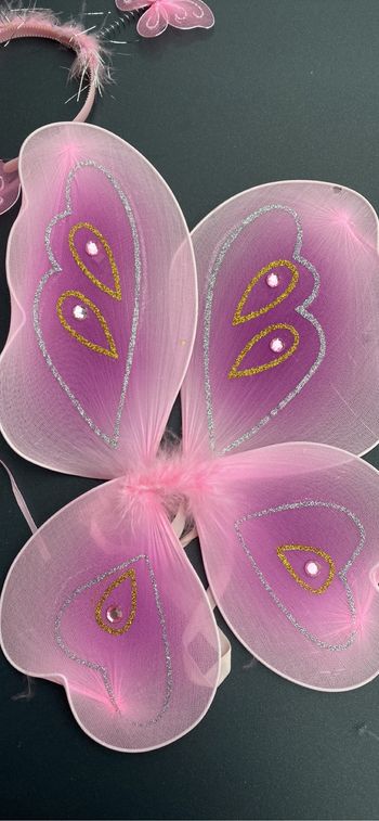 Déguisement papillon