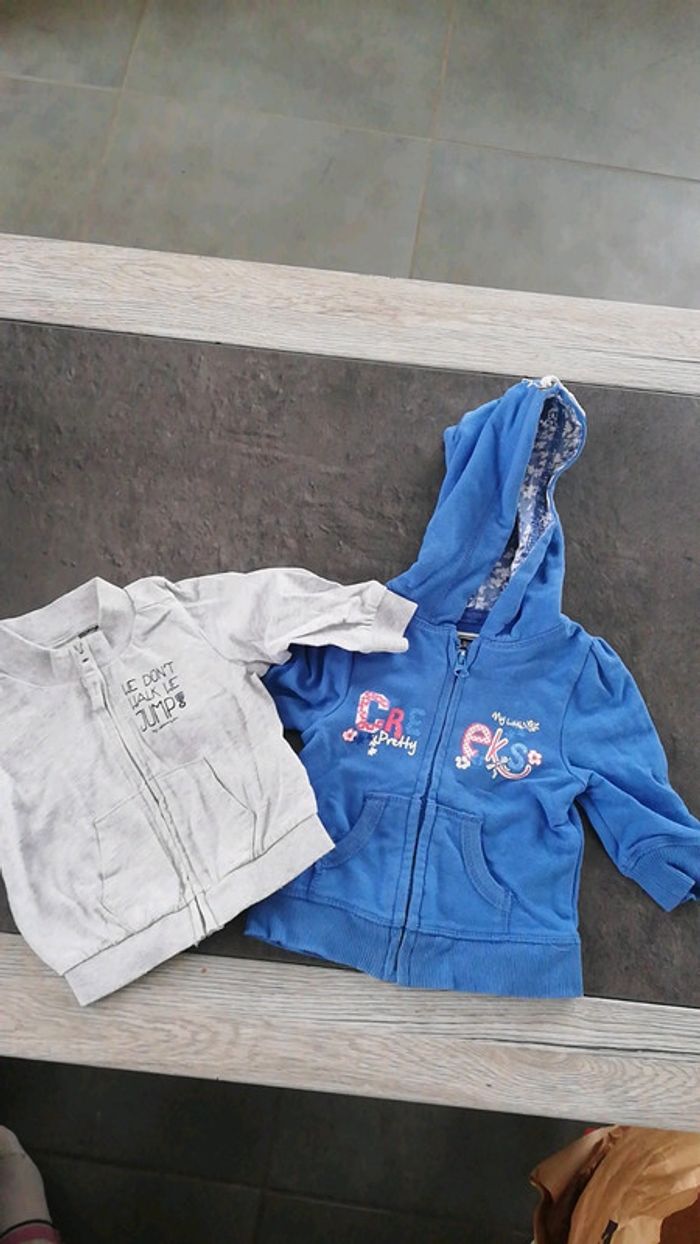 Lot de 2 gilets zippés