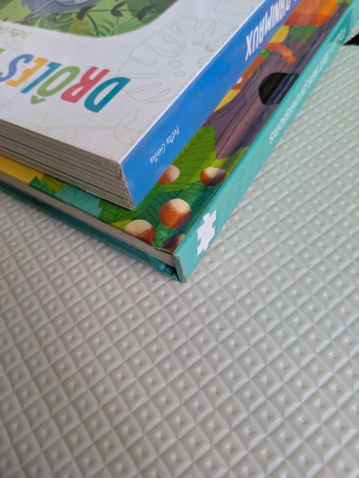 Lot de deux livres puzzles - photo numéro 3