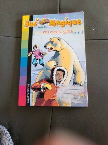 Livre le bus magique