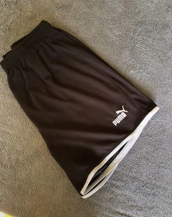 Short puma