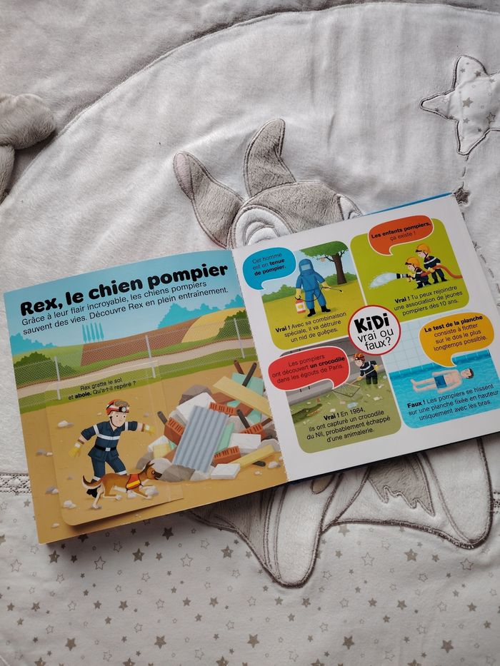 Livre pompier - photo numéro 5