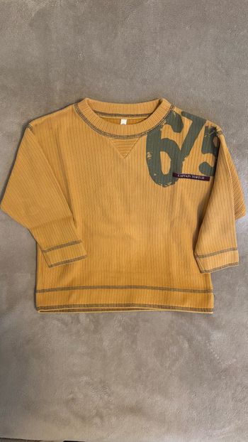 Sweat CAPTAIN TORTUE Taille 3 ans