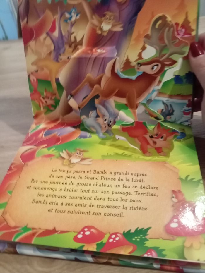 Livre - photo numéro 4