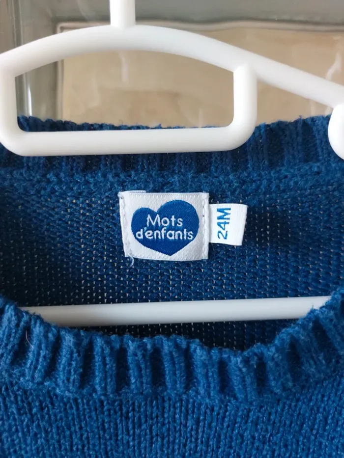 Pull manche longue Mot d'enfants 24 mois - photo numéro 3