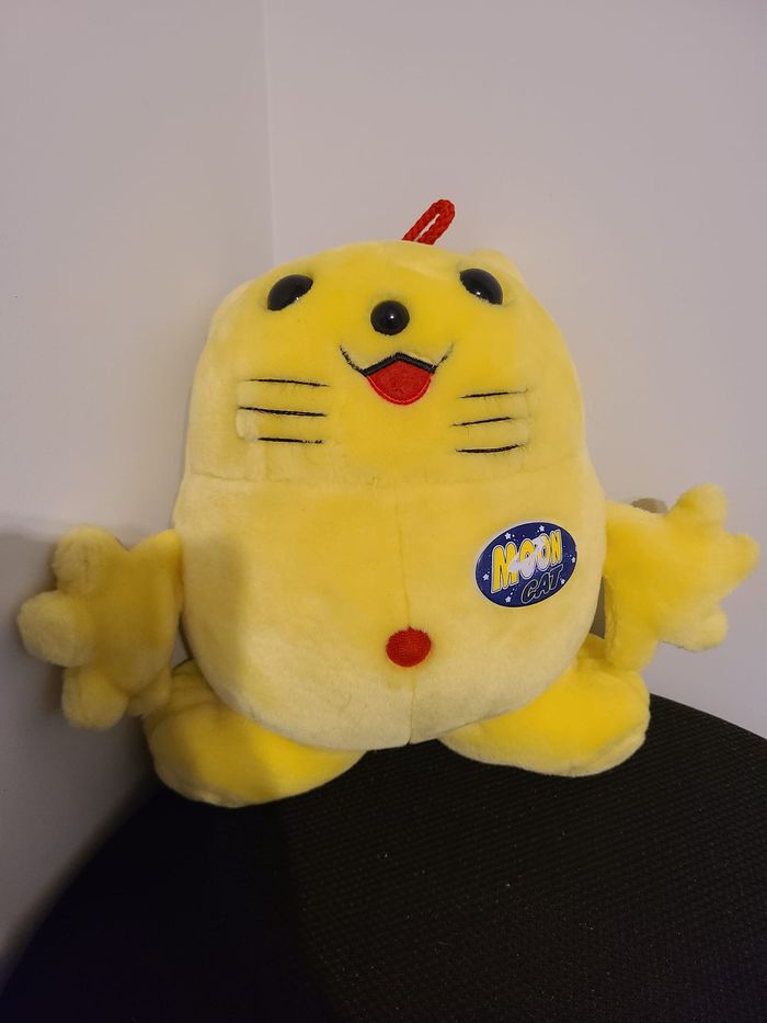moon cat