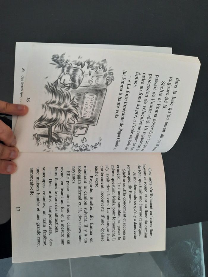 Livre jeunesse - photo numéro 2