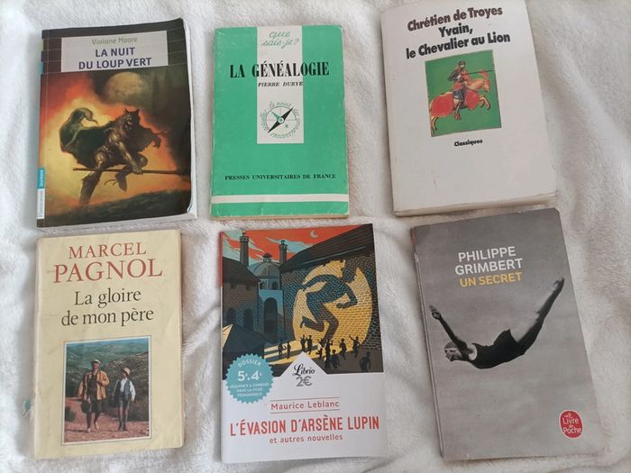 Énorme lot de livres collège – 15 titres - photo numéro 2