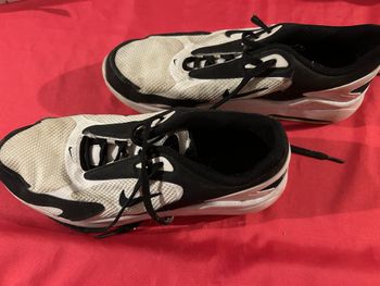 Nike Air Max blanches Taille 45