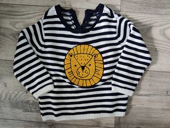 Pull marin avec tête de lion 🦁