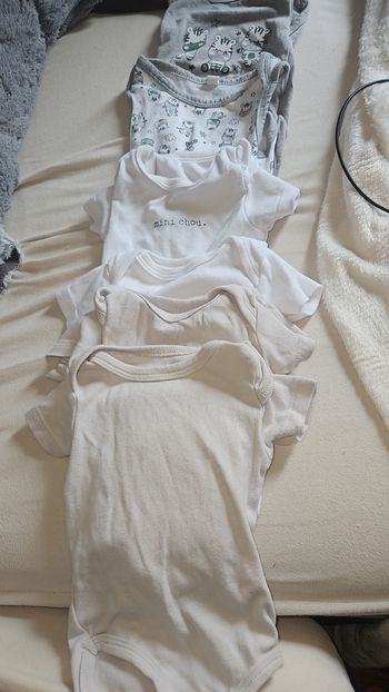 Lots de 6 bodys manche courte