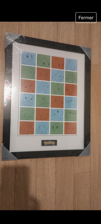 Cadre pokemon