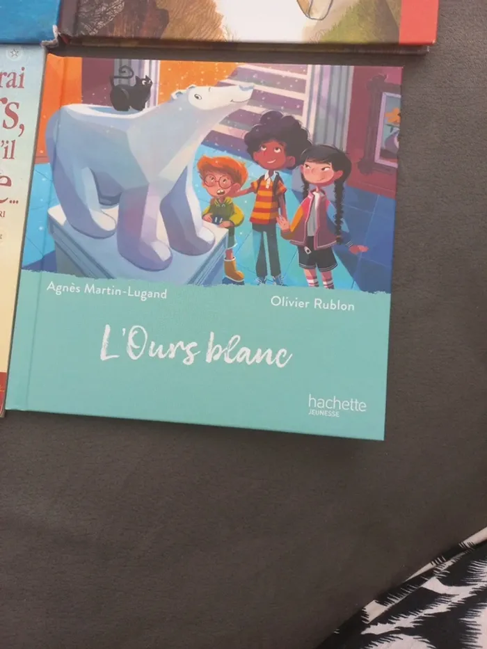 Lot 4 livres enfant mercredi à lire hachette doudou - photo numéro 3