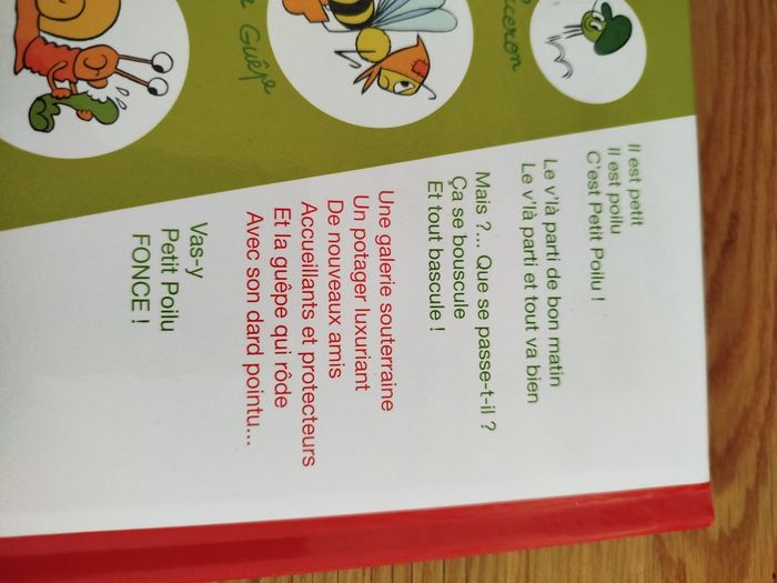 Petit poliu pagaille au potager - photo numéro 4